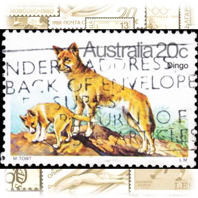 Briefmarke Australien Wildtiere #10617 (800x565)