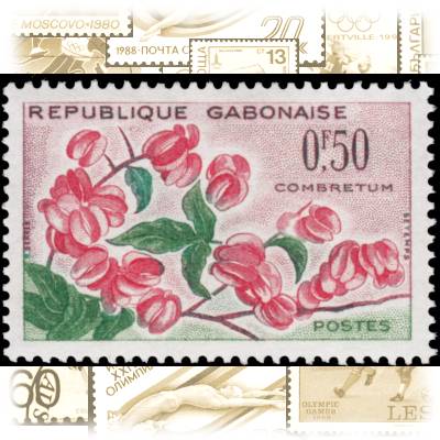 Briefmarken Gabun 1961 Blumen (1) #10705 (800x532)