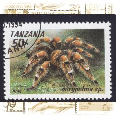 Briefmarken Tansania Spinnen-Tiere 1994 #10725 (800x599)