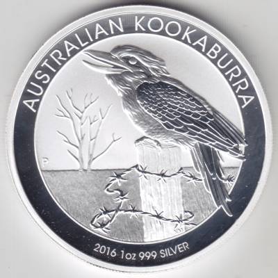 2016 Australien Kookaburra Vs #11063 (1975x1975)