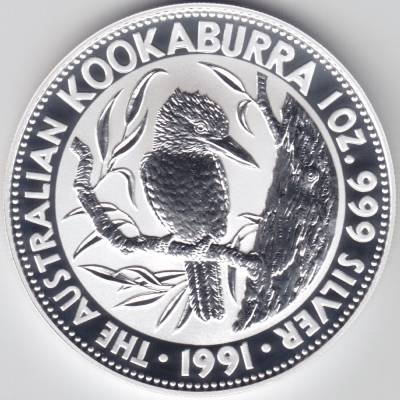 Kookaburra 1991 #11069 (1000x1000)