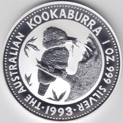 Kookaburra 1993 #11071 (1000x1000)