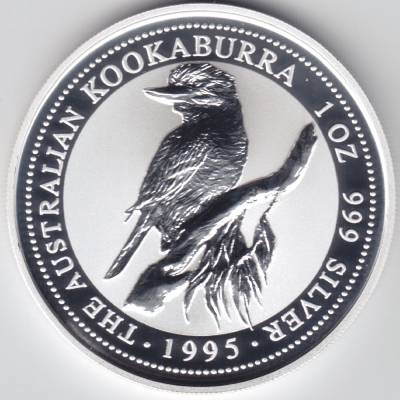 Kookaburra 1995 #11073 (1000x1000)