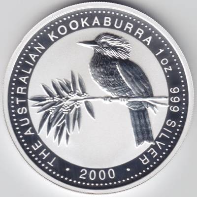 Kookaburra 2000 #11075 (1000x1000)