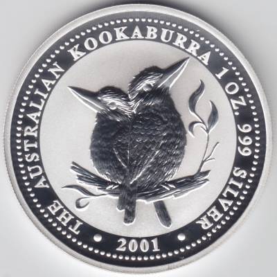 Kookaburra 2001 #11076 (1000x1000)