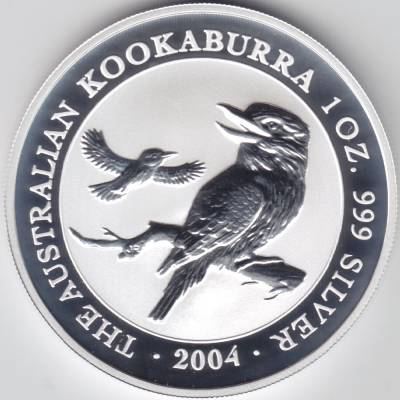 Kookaburra 2004 #11078 (1000x1000)