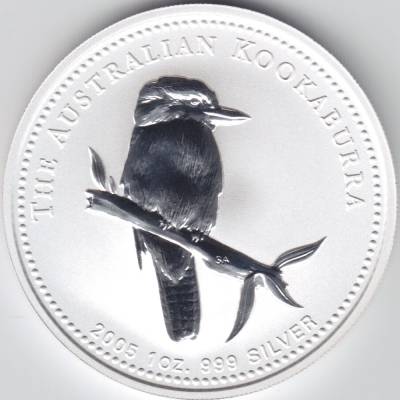 Kookaburra 2005 #11079 (1000x1000)