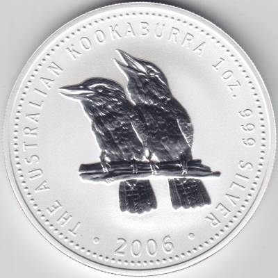 Kookaburra 2006 #11080 (1000x1000)