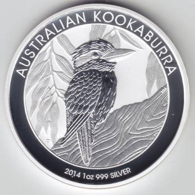 Kookaburra 2014 #11083 (1000x1000)
