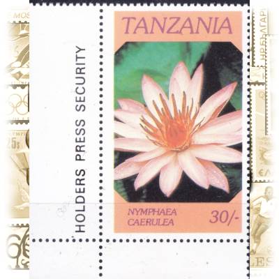Pflanzen Briefmarken Blumen #11596 (600x759)