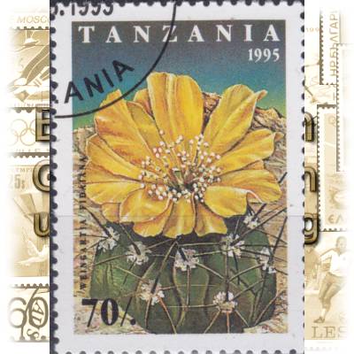 Kakteen Briefmarken aus Tansania 1995 #11628 (600x833)