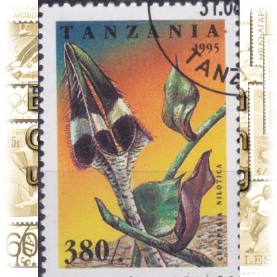 Kakteen Briefmarken aus Tansania 1995 #11635 (600x826)
