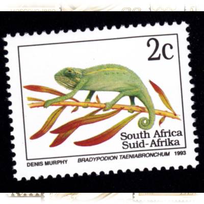 Briefmarken aus Südafrika #1252 (1000x889)