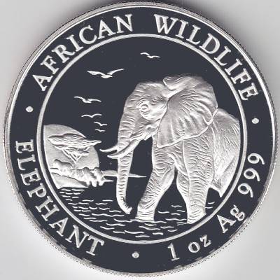 African Wildlife Elefanten 2010 #1495 (800x800)