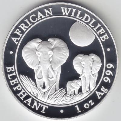 African Wildlife Elefanten 2014 #1499 (800x800)