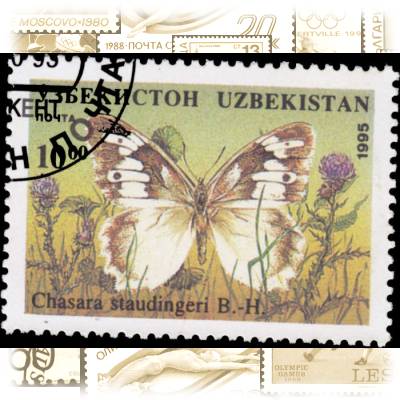 Briefmarken Schmetterlinge (3) #1837 (700x517)