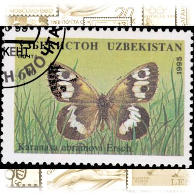 Briefmarken Schmetterlinge (4) #1838 (600x443)