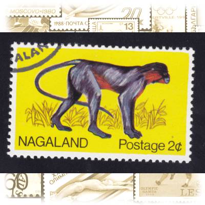 Briefmarken Affen Nagaland (2) #1856 (2690x1850)