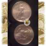 American Gold Eagle zu 1/4 Unze von 2006 Wert-Angabe