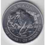 Kanada 1 Unze Silber Wildlife Bison 2013