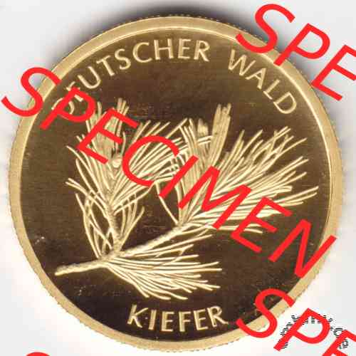 20 Euro Goldmünze Kiefer 2013 - Motiv-Seite der Münze