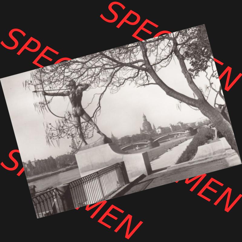 Ansichtskarte DDR Bezirk Dresden, Kreis Dresden, Stadt Dresden: Blick vom Neustädter Elbufer mit dem Bogenschützen (1) Sammlung
