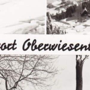 Ausschnitt zur Qualitätsprüfung vom Digitalen Bild Qualität