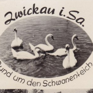 Qualität