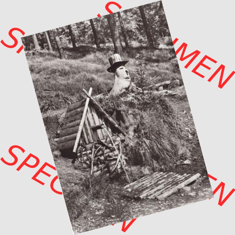 Ansichtskarte Bezirk Karl-Marx-Stadt, Landkreis Annaberg, Stadt Oberwiesenthal Quellhäuschen und Wurzelmann am Fichtelberg. Ansichtskarte bzw. Postkarte aus DDR-Zeiten der... Sammlung