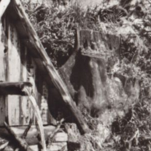 Ausschnitt zur Qualitätsprüfung vom Digitalen Bild Qualität