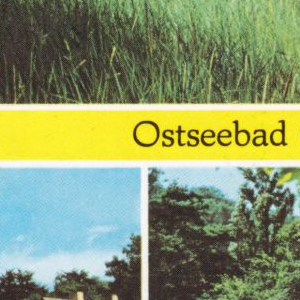 Ausschnitt zur Qualitätsprüfung vom Digitalen Bild Qualität