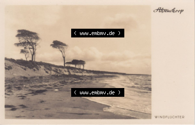 Ansichtskarte bzw. Postkarte aus DDR-Zeiten, Bezirk Rostock, Kreis Ribnitz-Damgarten, Ostseebad Ahrenshoop der DDR Sammlung