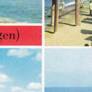 Ausschnitt zur Qualitätsprüfung vom Digitalen Bild Qualität
