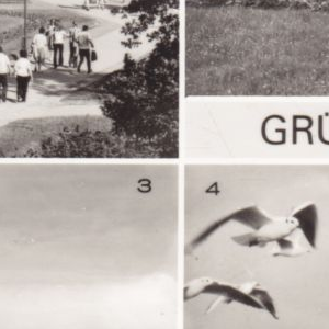 Ausschnitt zur Qualitätsprüfung vom Digitalen Bild Qualität