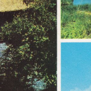 Ausschnitt zur Qualitätsprüfung vom Digitalen Bild Qualität