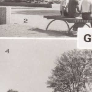 Ausschnitt zur Qualitätsprüfung vom Digitalen Bild Qualität
