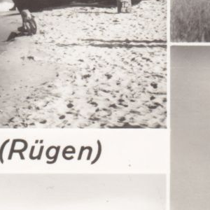 Ausschnitt zur Qualitätsprüfung vom Digitalen Bild Qualität