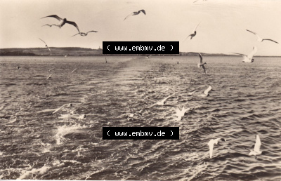 Ansichtskarte bzw. Postkarte aus DDR-Zeiten, Insel Hiddensee im Norden der DDR Sammlung