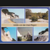 Digitales Bild Weiter