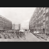 Digitales Bild Zurück