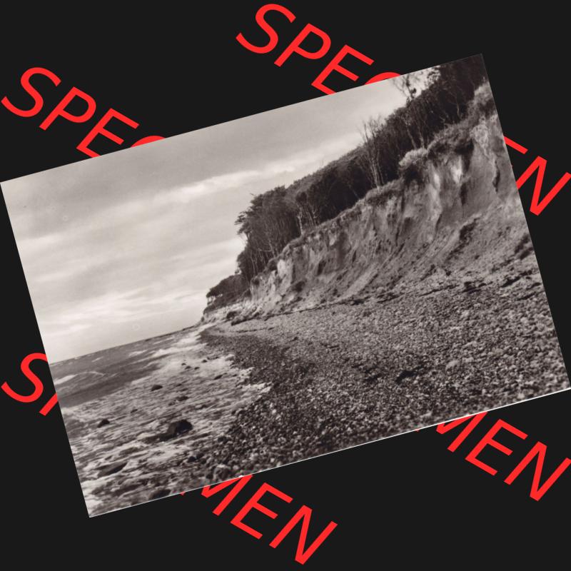 Ansichtskarte DDR Bezirk Rostock, Kreis Bad Doberan, Ostseebad Nienhagen in s/w - schwarzweiß mit Motiv vom Ostseebad Nienhagen II.. Ansichtskarte bzw. Postkarte... Sammlung