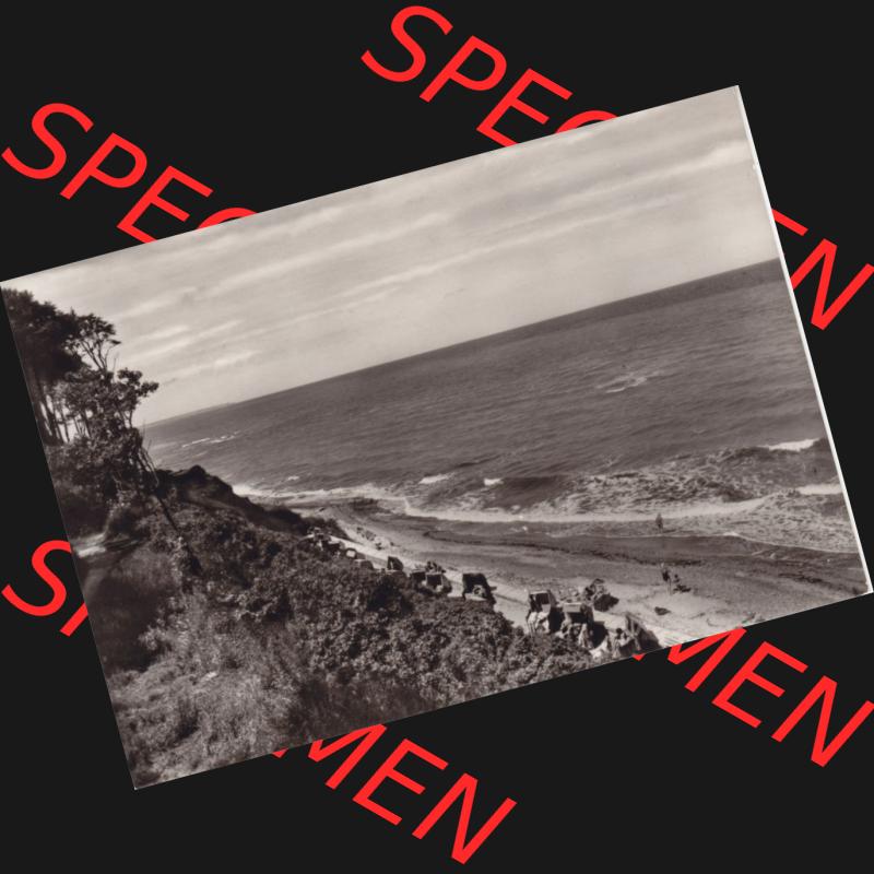 Ansichtskarte DDR Bezirk Rostock, Kreis Bad Doberan, Ostseebad Nienhagen in s/w - schwarzweiß mit Motiv vom Ostseebad Nienhagen III.. Ansichtskarte bzw. Postkarte... Sammlung