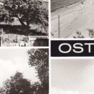 Qualität
