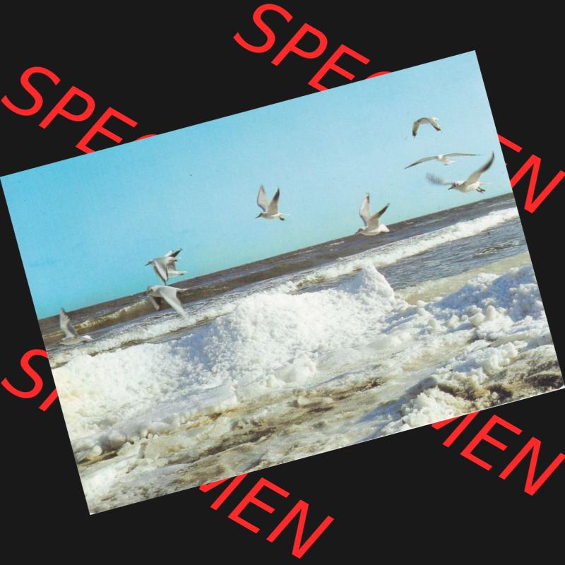 Ansichtskarte DDR Bezirk Rostock Winter an der Ostsee. Ansichtskarte bzw. Postkarte in Farbe aus DDR-Zeiten der Deutschen Demokratischen Republik vom Bezirk Rostock der DDR. Die Ansichtskarte... Sammlung