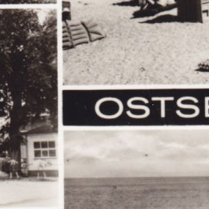 Ausschnitt zur Qualitätsprüfung vom Digitalen Bild Qualität
