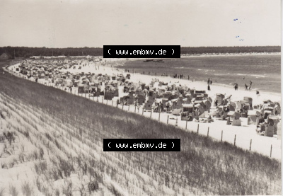 Ansichtskarte bzw. Postkarte in s/w - schwarzweiß aus DDR-Zeiten, Bezirk Rostock, Kreis Ribnitz-Damgarten Ostseebad Prerow der... Sammlung