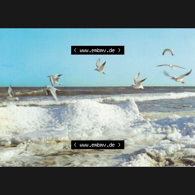 Ansichtskarte DDR Bezirk Rostock Winter an der Ostsee. Ansichtskarte bzw. Postkarte in Farbe aus DDR-Zeiten der Deutschen Demokratischen Republik vom Bezirk Rostock der DDR. Die Ansichtskarte... Sammlung