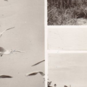 Ausschnitt zur Qualitätsprüfung vom Digitalen Bild Qualität