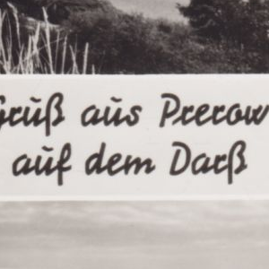 Qualität