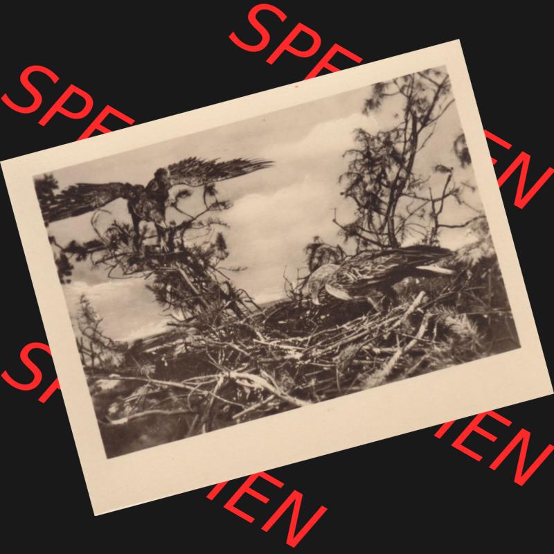 Fotos DDR, Bezirk Erfurt, Kreis Gotha, Staatliche Museen Gotha 5765 Am Adlerhorst (1). Fotos aus DDR-Zeiten Bezirk Erfurt der Deutschen Demokratischen Republik vom Bezirk... Sammlung